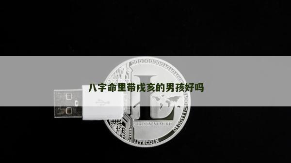八字命里帶戌亥的男孩好嗎