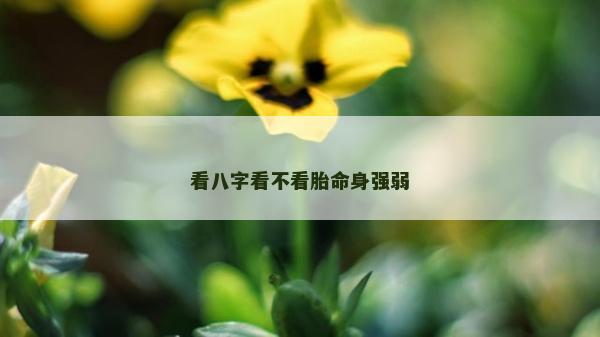 看八字看不看胎命身強弱