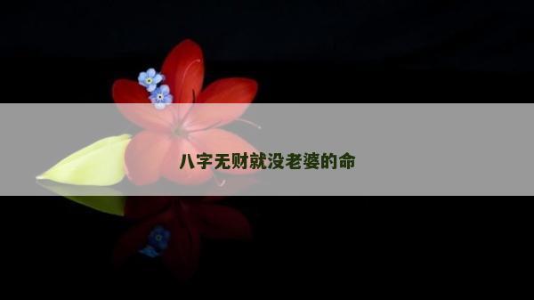 八字無財就沒老婆的命 八字無財就沒老婆的命