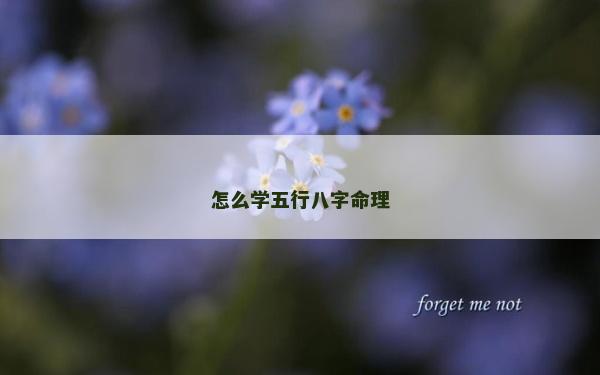 怎么學五行八字命理