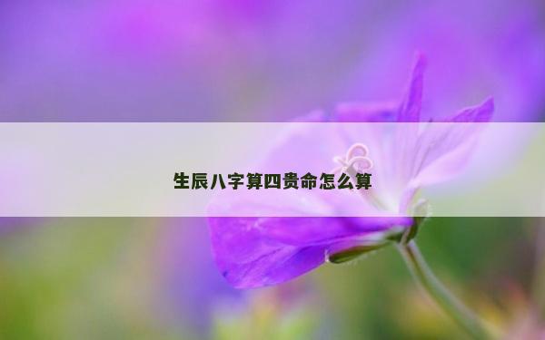生辰八字算四貴命怎么算