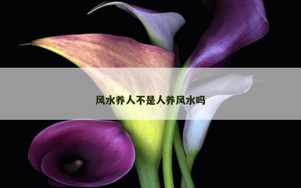 風水養(yǎng)人不是人養(yǎng)風水嗎