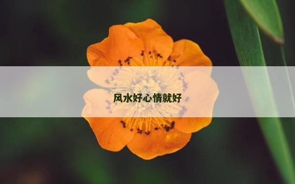 風水好心情就好 風水好心情就好