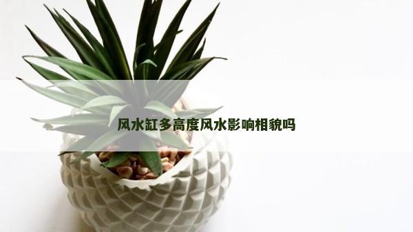風水缸多高度風水影響相貌嗎