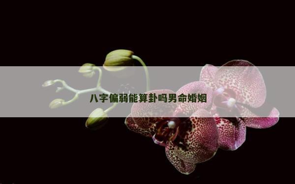 八字偏弱能算卦嗎男命婚姻