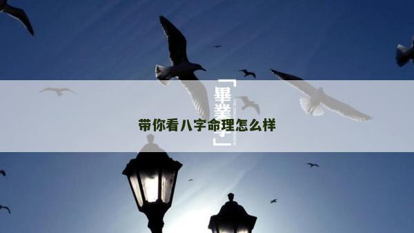 帶你看八字命理怎么樣