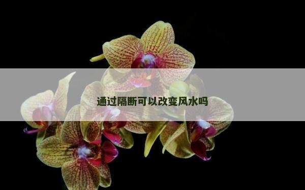 通過隔斷可以改變風水嗎