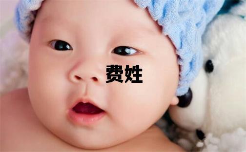 費姓朗朗上口的男孩名字