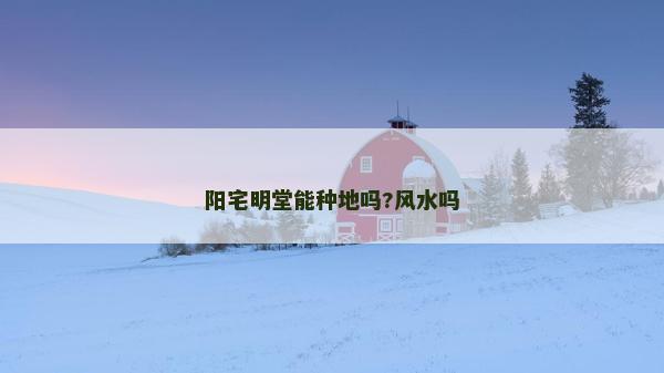 陽宅明堂能種地嗎?風水嗎