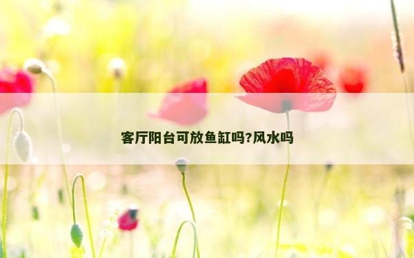 客廳陽臺可放魚缸嗎?風水嗎