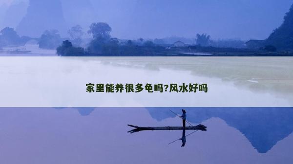 家里能養很多龜嗎?風水好嗎