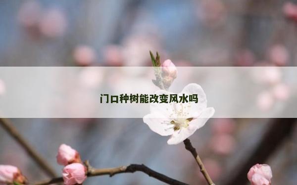 門口種樹能改變風(fēng)水嗎
