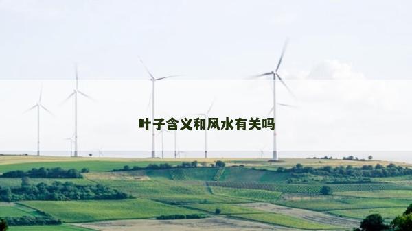 葉子含義和風水有關嗎 葉子含義和風水有關嗎