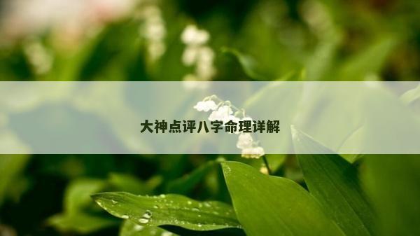 大神點評八字命理詳解