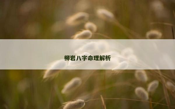 柳巖八字命理解析