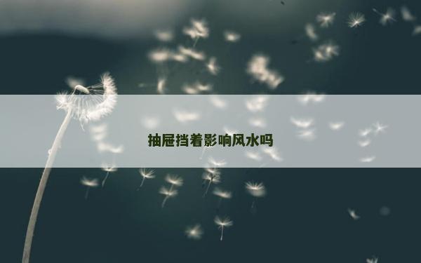 抽屜擋著影響風水嗎 抽屜擋著影響風水嗎