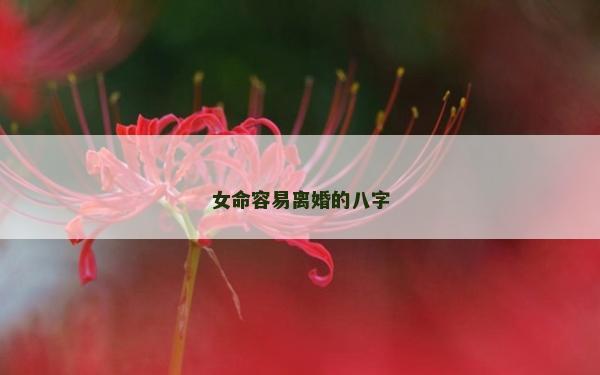 女命容易離婚的八字