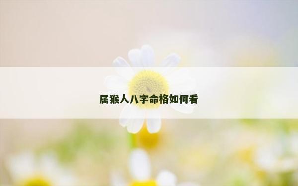 屬猴人八字命格如何看