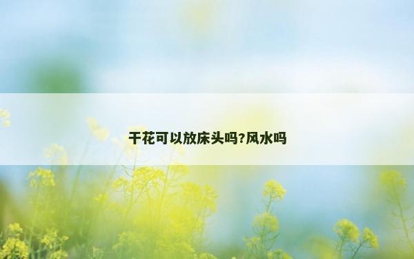 干花可以放床頭嗎?風水嗎