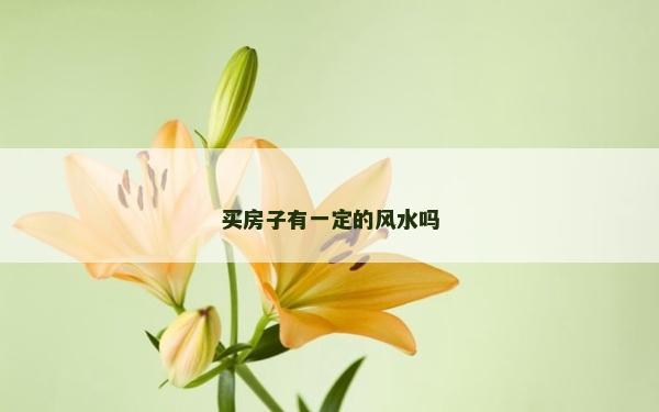買房子有一定的風(fēng)水嗎