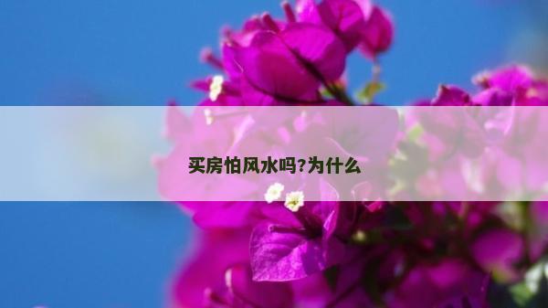 買房怕風水嗎?為什么