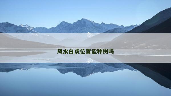 風水白虎位置能種樹嗎