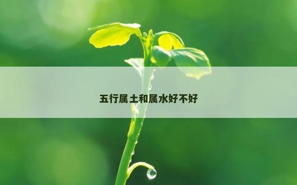 五行屬土和屬水好不好