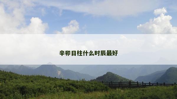 辛卯日柱什么時(shí)辰最好