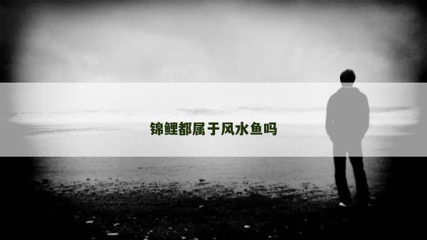 錦鯉都屬于風(fēng)水魚嗎