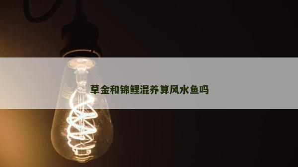 草金和錦鯉混養算風水魚嗎