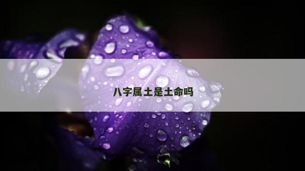 八字屬土是土命嗎 八字屬土是土命嗎