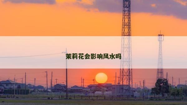 茉莉花會(huì)影響風(fēng)水嗎 茉莉花會(huì)影響風(fēng)水嗎