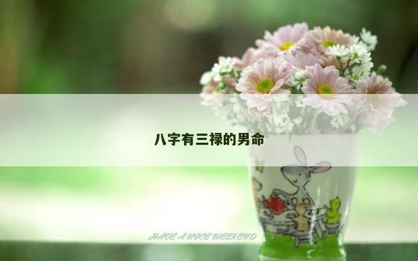 八字有三祿的男命