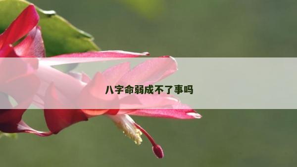 八字命弱成不了事嗎