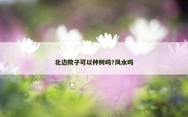 北邊院子可以種樹嗎?風水嗎