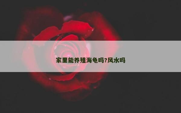 家里能養殖海龜嗎?風水嗎