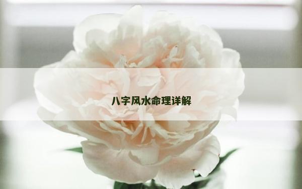 八字風水命理詳解