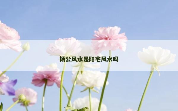 楊公風水是陽宅風水嗎