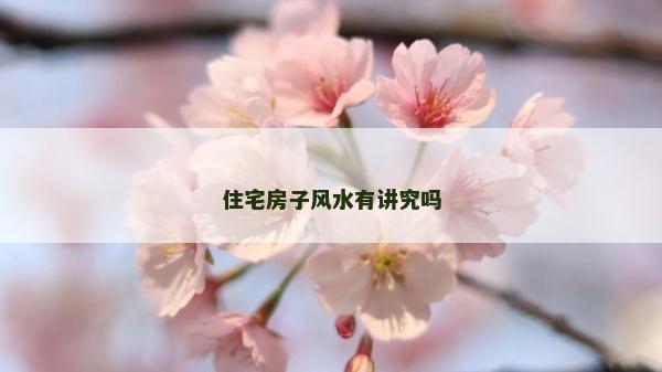 住宅房子風水有講究嗎