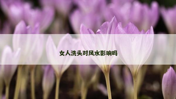 女人洗頭對風水影響嗎