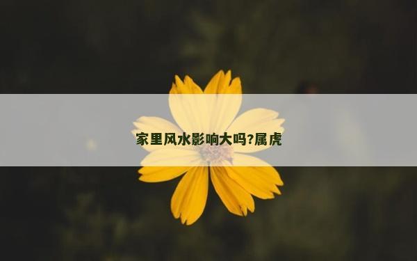 家里風水影響大嗎?屬虎