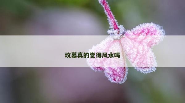 墳墓真的覺得風水嗎