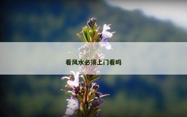 看風水必須上門看嗎