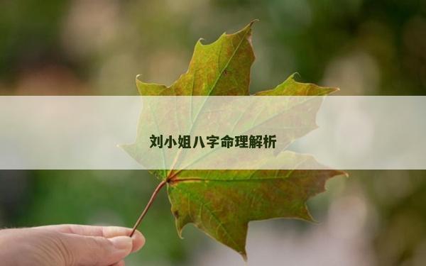 劉小姐八字命理解析