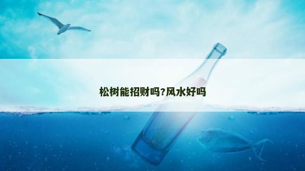 松樹能招財嗎?風水好嗎 松樹能招財嗎?風水好嗎