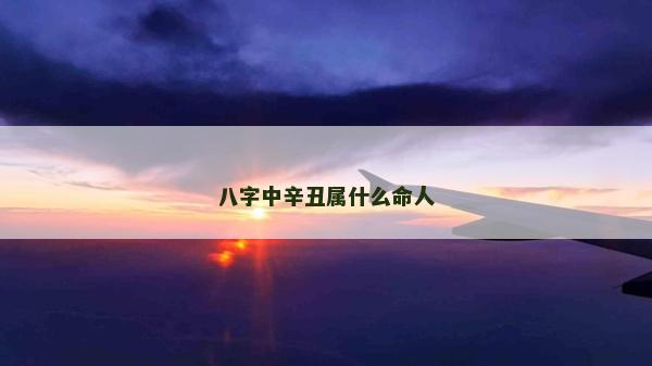 八字中辛丑屬什么命人