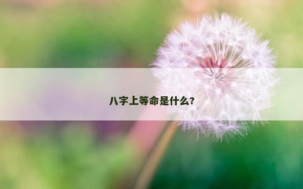 八字上等命是什么?