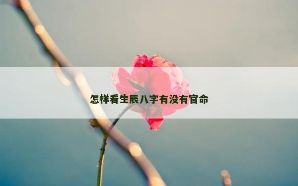 怎樣看生辰八字有沒有官命