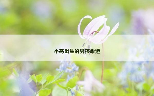 小寒出生的男孩命運