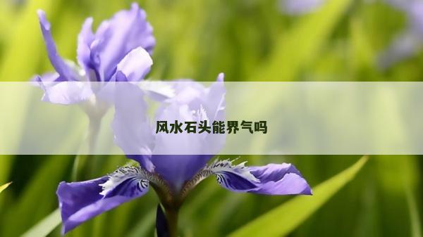 風水石頭能界氣嗎